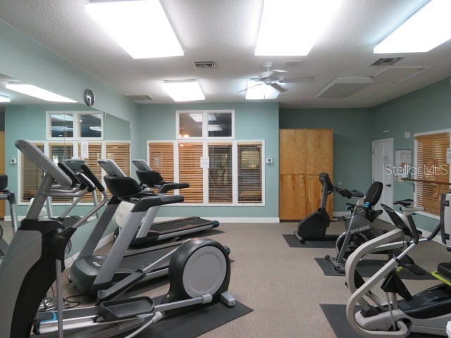 995 Spinnaker Court Tarpon Springs FL 34689 TB8428520 image24