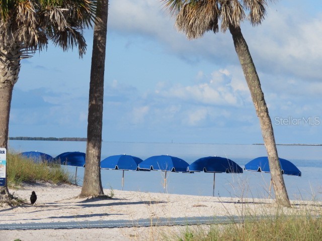 995 Spinnaker Court Tarpon Springs FL 34689 TB8428520 image34