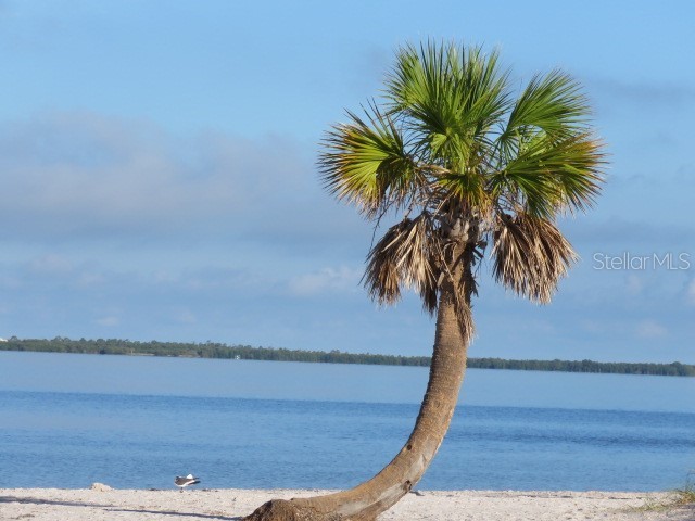 995 Spinnaker Court Tarpon Springs FL 34689 TB8428520 image37