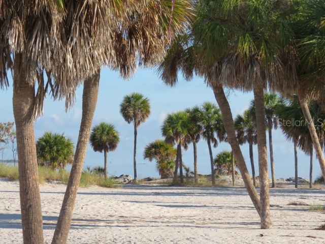 995 Spinnaker Court Tarpon Springs FL 34689 TB8428520 image38