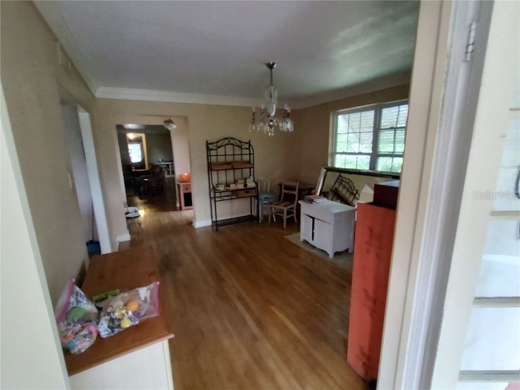 995 W 11th Avenue Mount Dora FL 32757 G5101519 image17