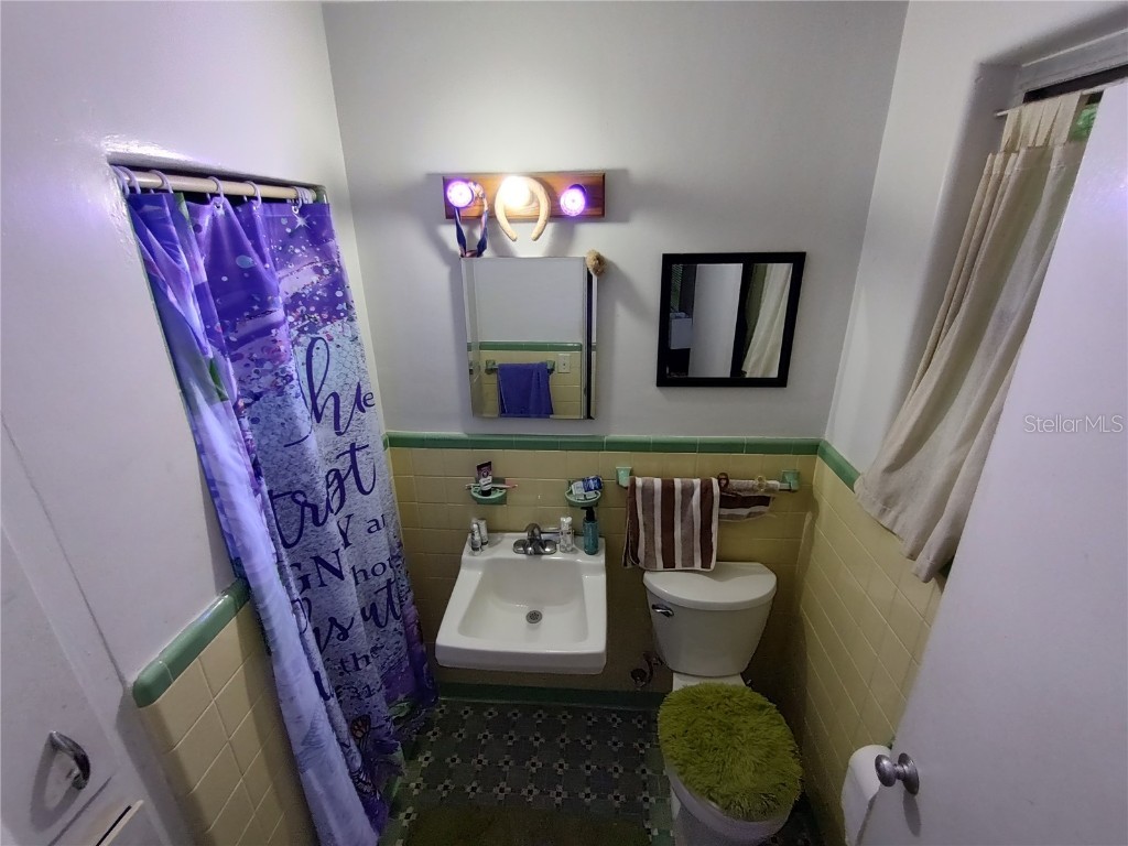 995 W 11th Avenue Mount Dora FL 32757 G5101519 image35