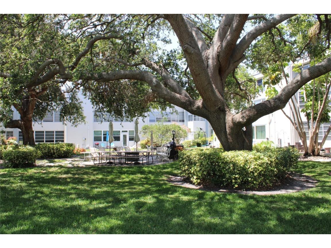 9950 47th Avenue N #311 Saint Petersburg FL 33708 TB8379238 image29