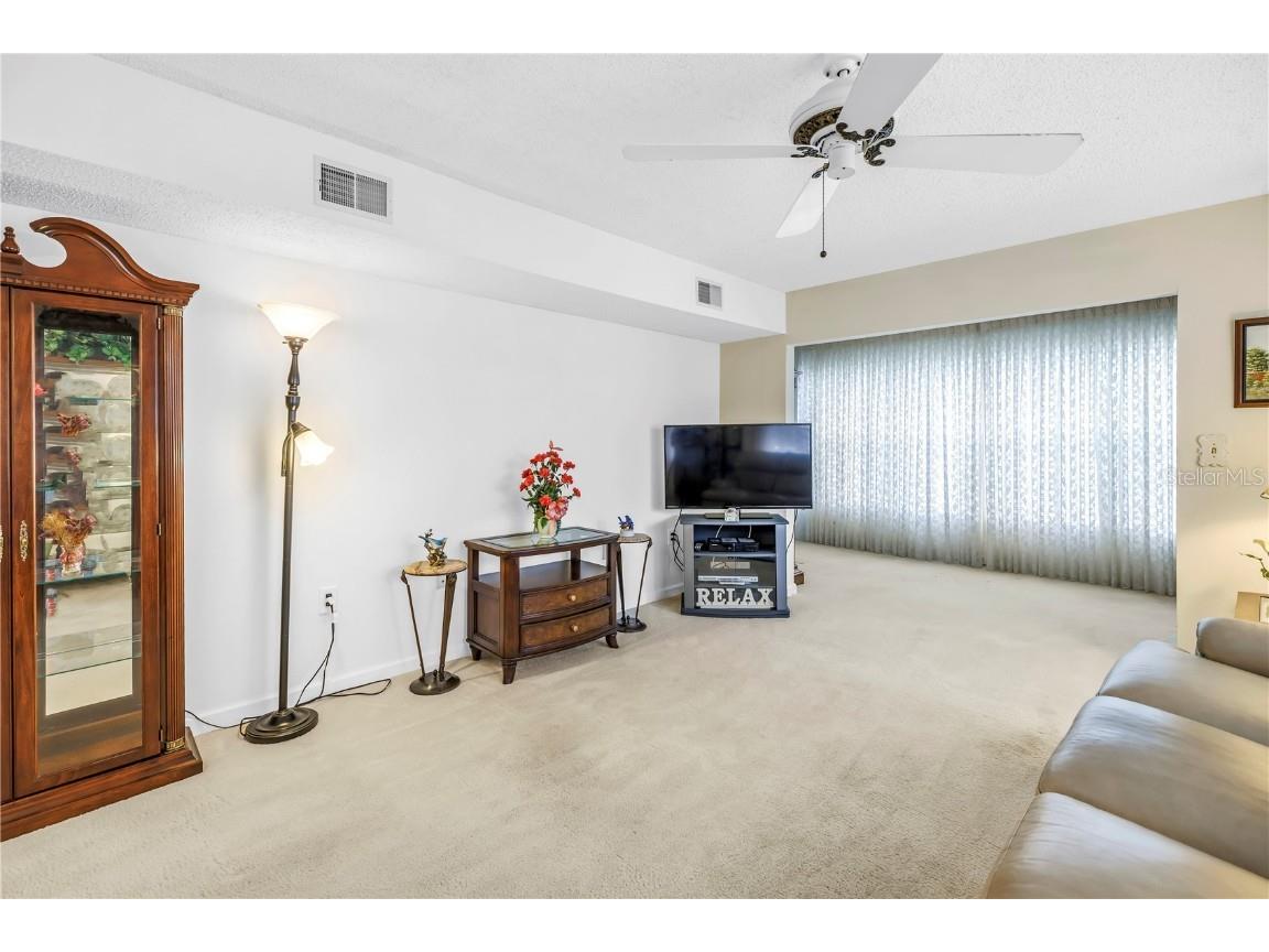 9950 62nd Terrace N #209 Saint Petersburg FL 33708 TB8436164 image11