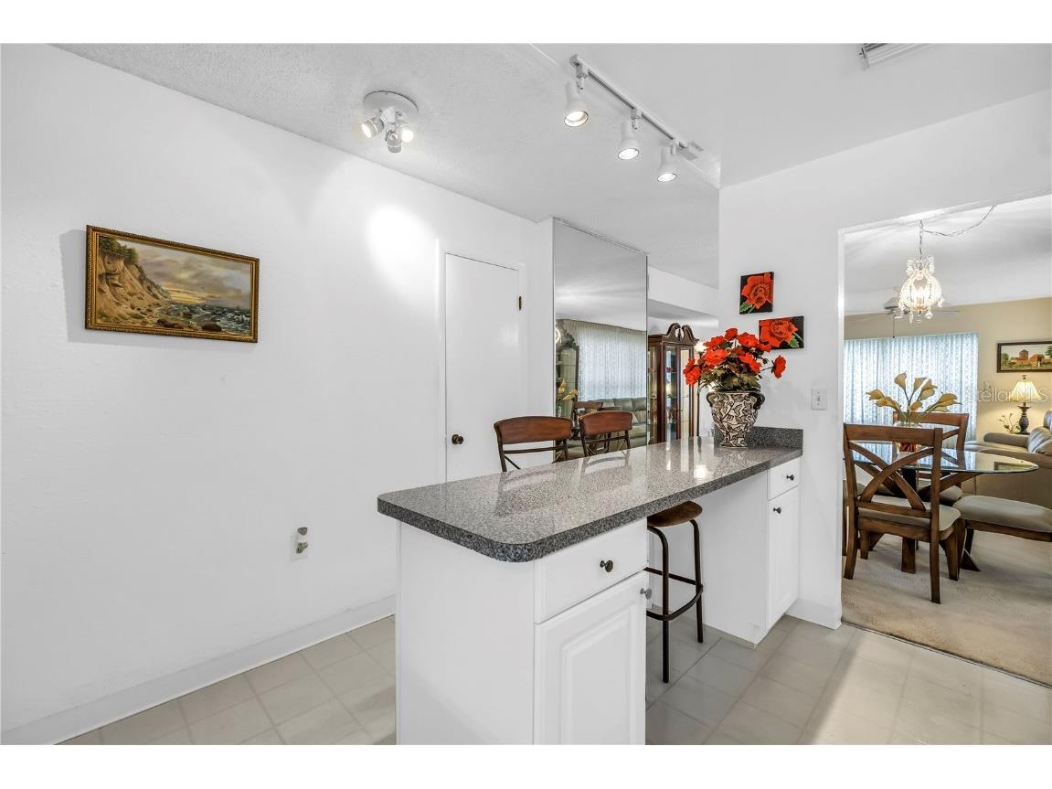 9950 62nd Terrace N #209 Saint Petersburg FL 33708 TB8436164 image5