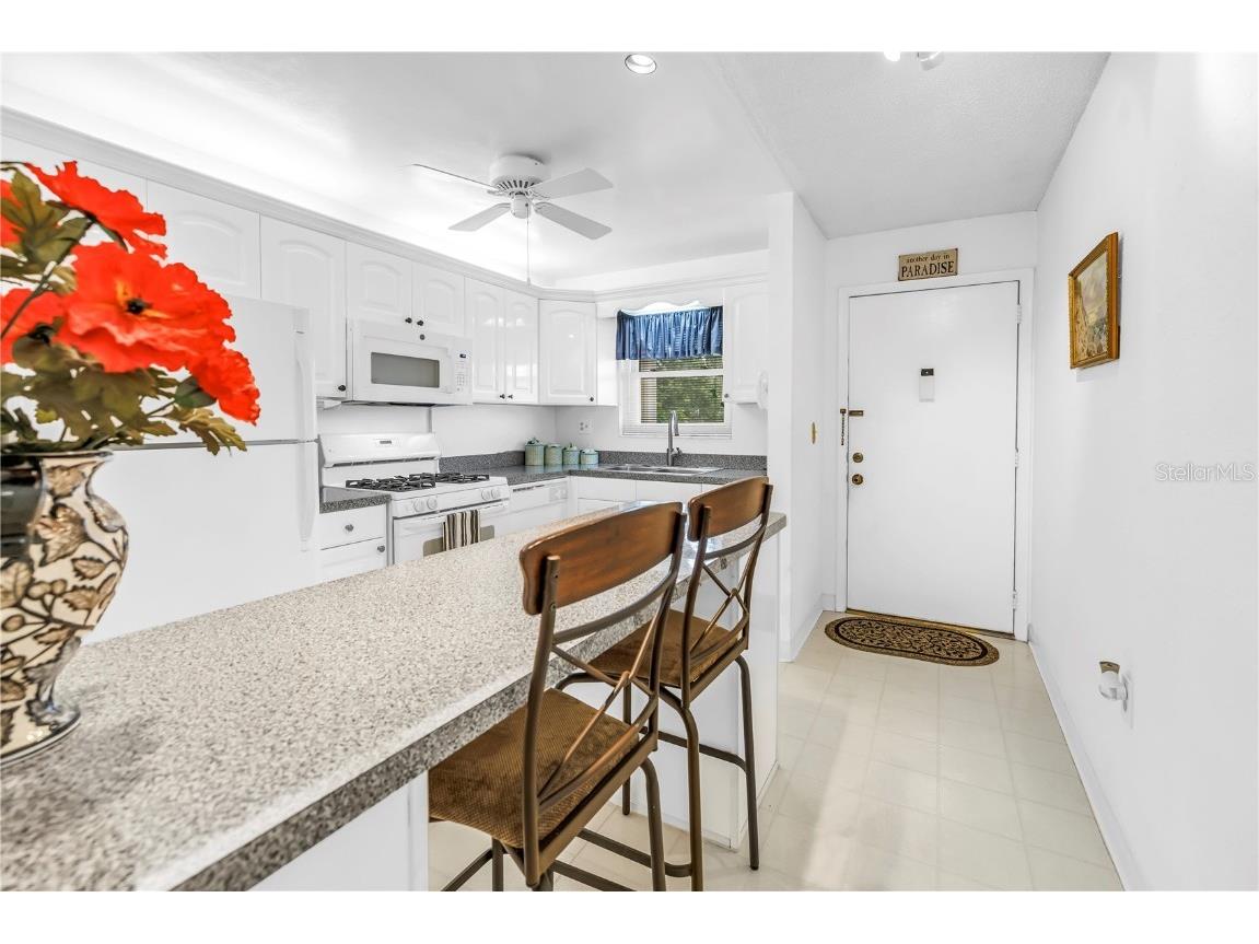 9950 62nd Terrace N #209 Saint Petersburg FL 33708 TB8436164 image7