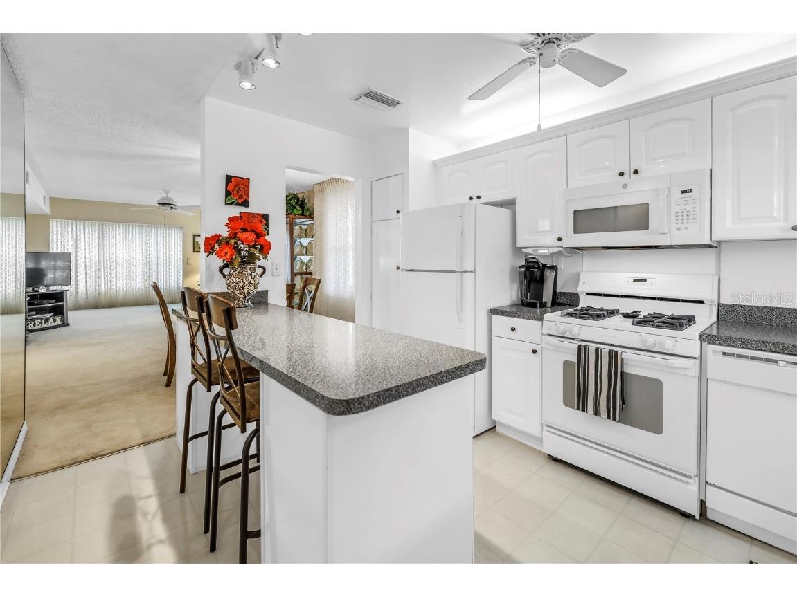 9950 62nd Terrace N #209 Saint Petersburg FL 33708 TB8436164 image8