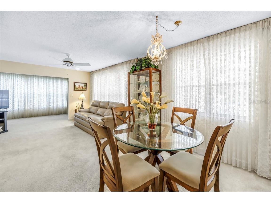 9950 62nd Terrace N #209 Saint Petersburg FL 33708 TB8436164 image9