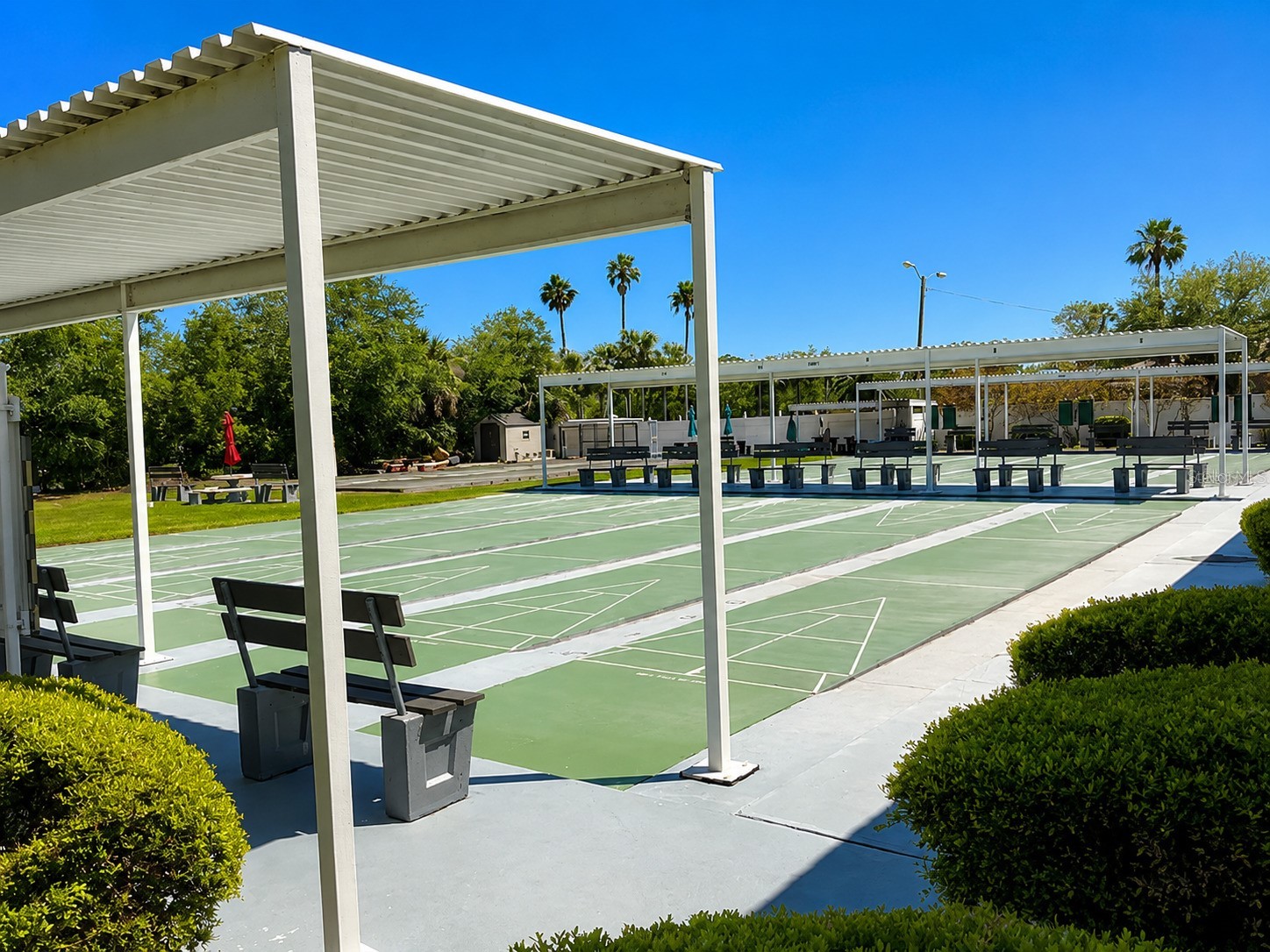 9950 62nd Terrace N #315 Saint Petersburg FL 33708 TB8514524 image24