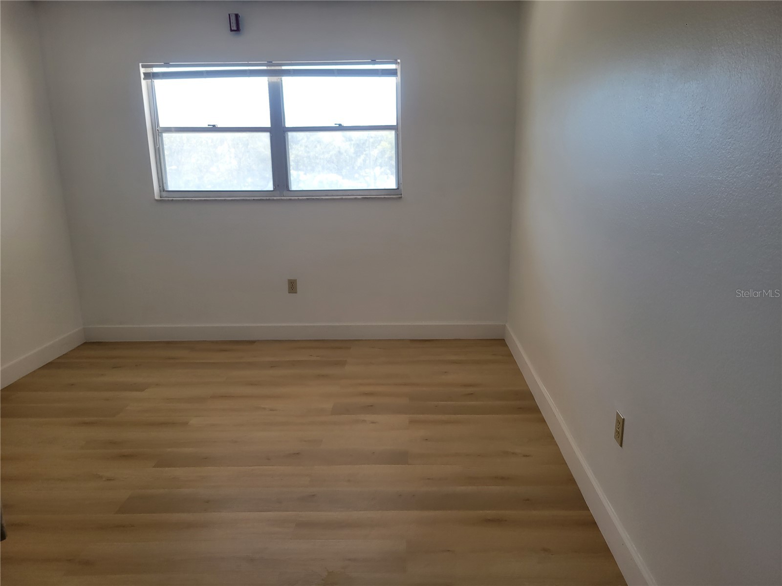 9950 62nd Terrace N #404 Saint Petersburg FL 33708 TB8482599 image13