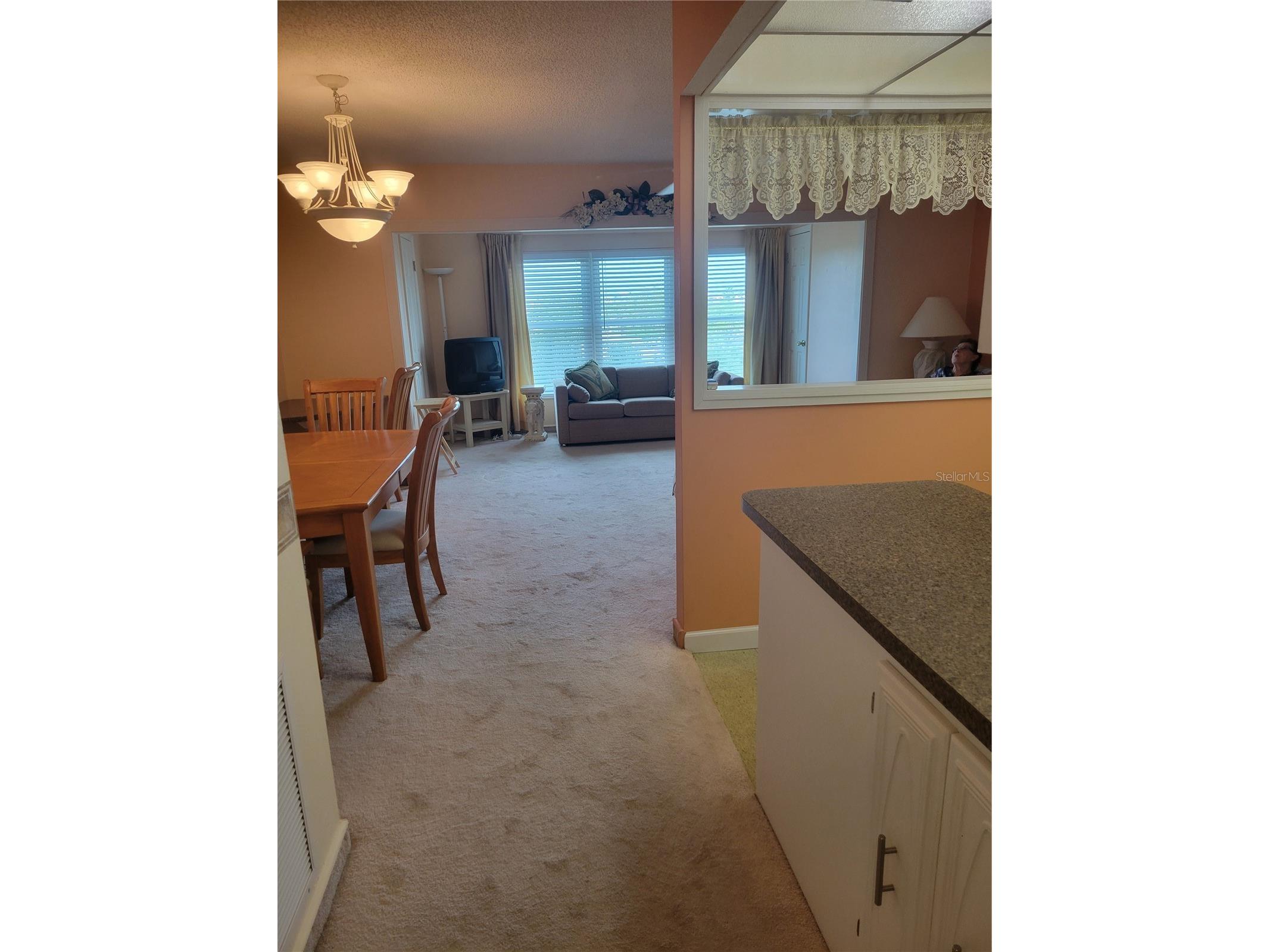 9950 62nd Terrace N #417 Saint Petersburg FL 33708 TB8488815 image10