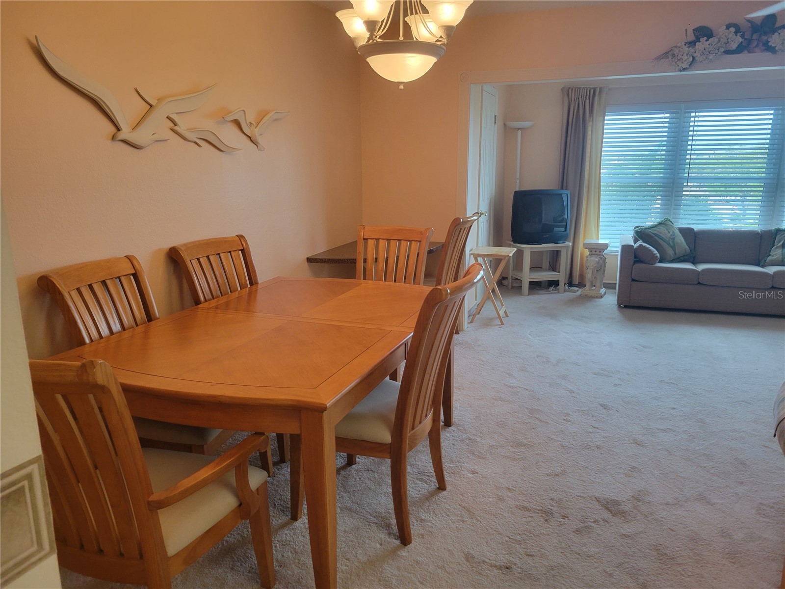 9950 62nd Terrace N #417 Saint Petersburg FL 33708 TB8488815 image12