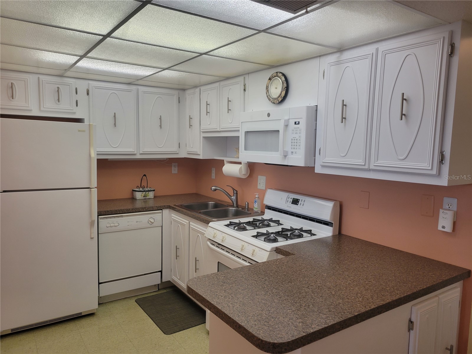 9950 62nd Terrace N #417 Saint Petersburg FL 33708 TB8488815 image2