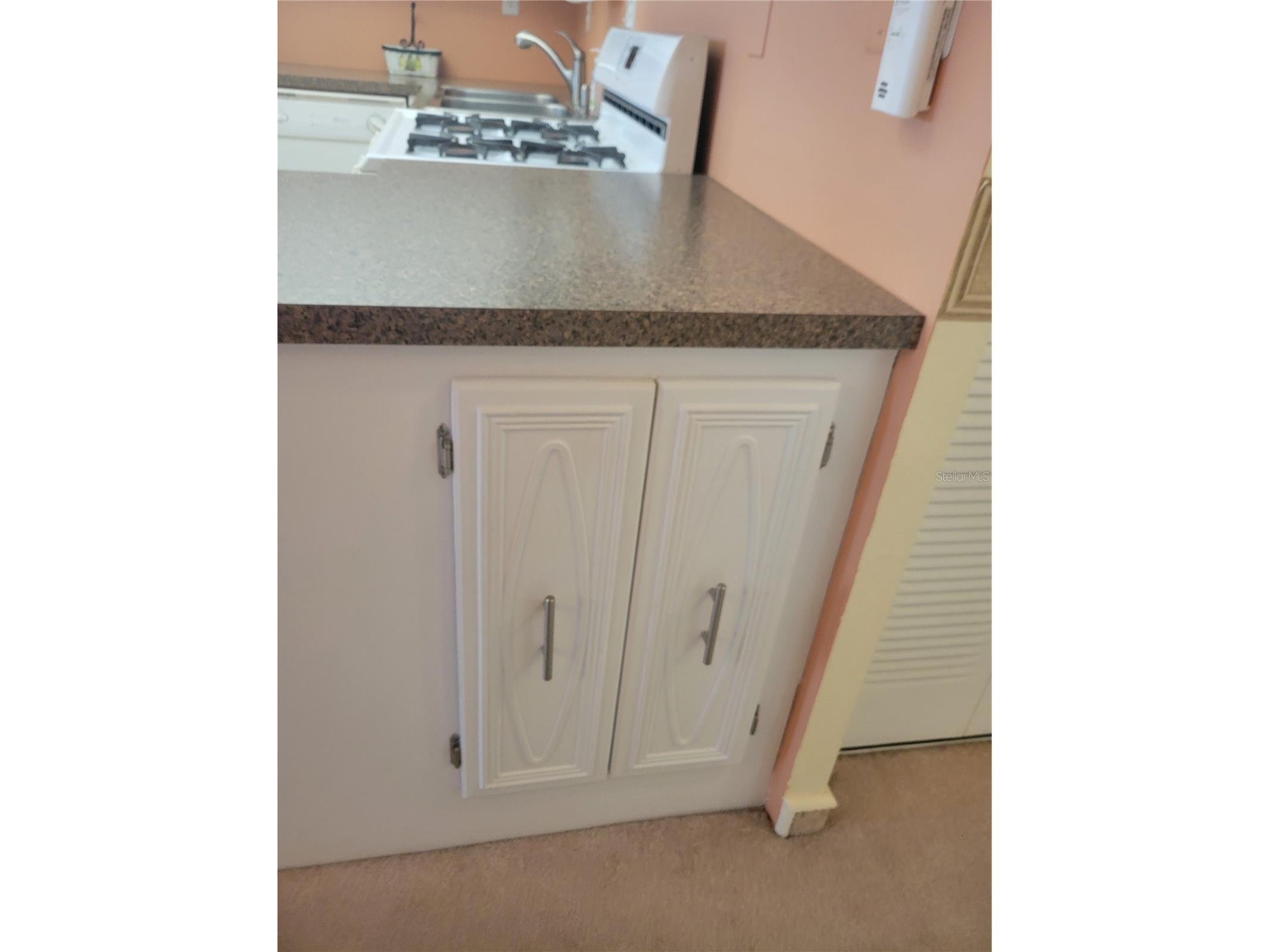 9950 62nd Terrace N #417 Saint Petersburg FL 33708 TB8488815 image29