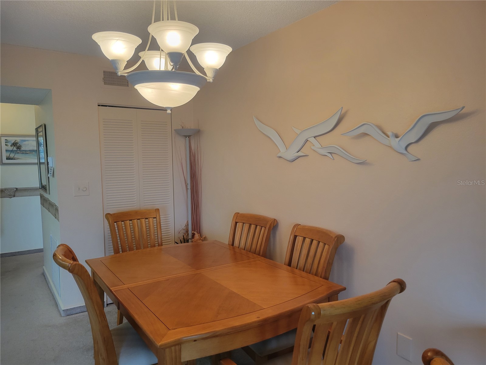 9950 62nd Terrace N #417 Saint Petersburg FL 33708 TB8488815 image9