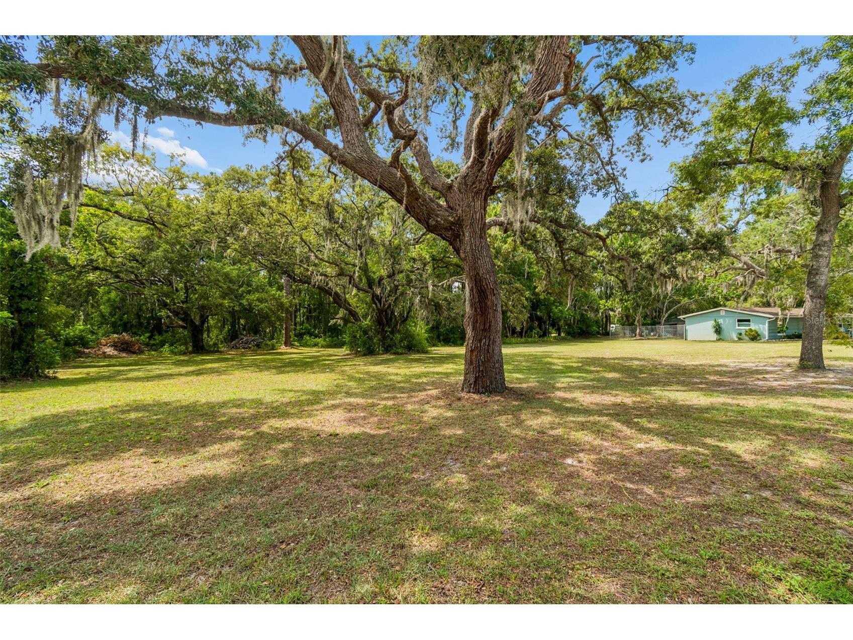 9950 Hilltop Drive New Port Richey FL 34654 W7886790 image25