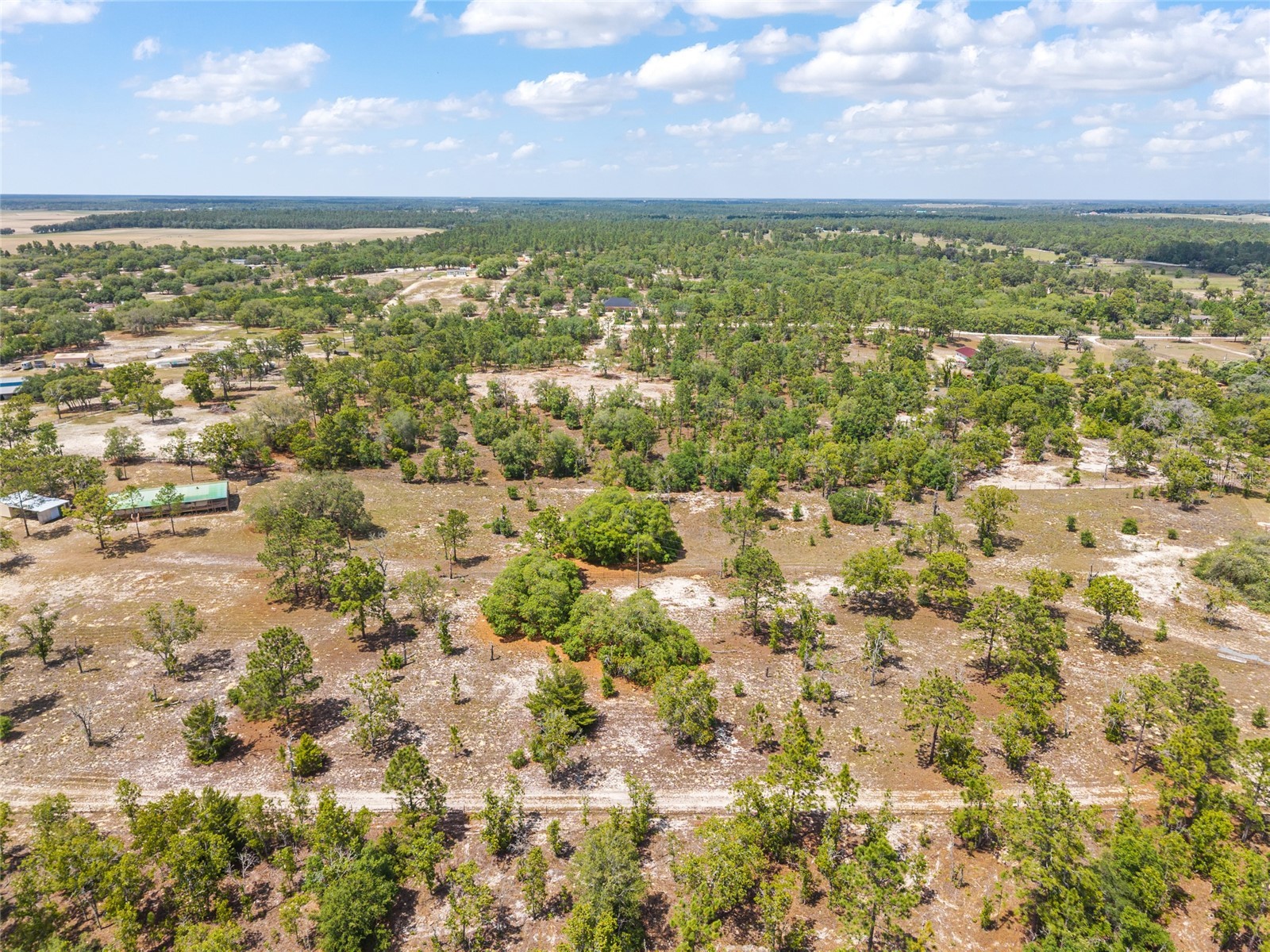 9950 SE 136th Terrace Dunnellon FL 34431 OM724975 image14