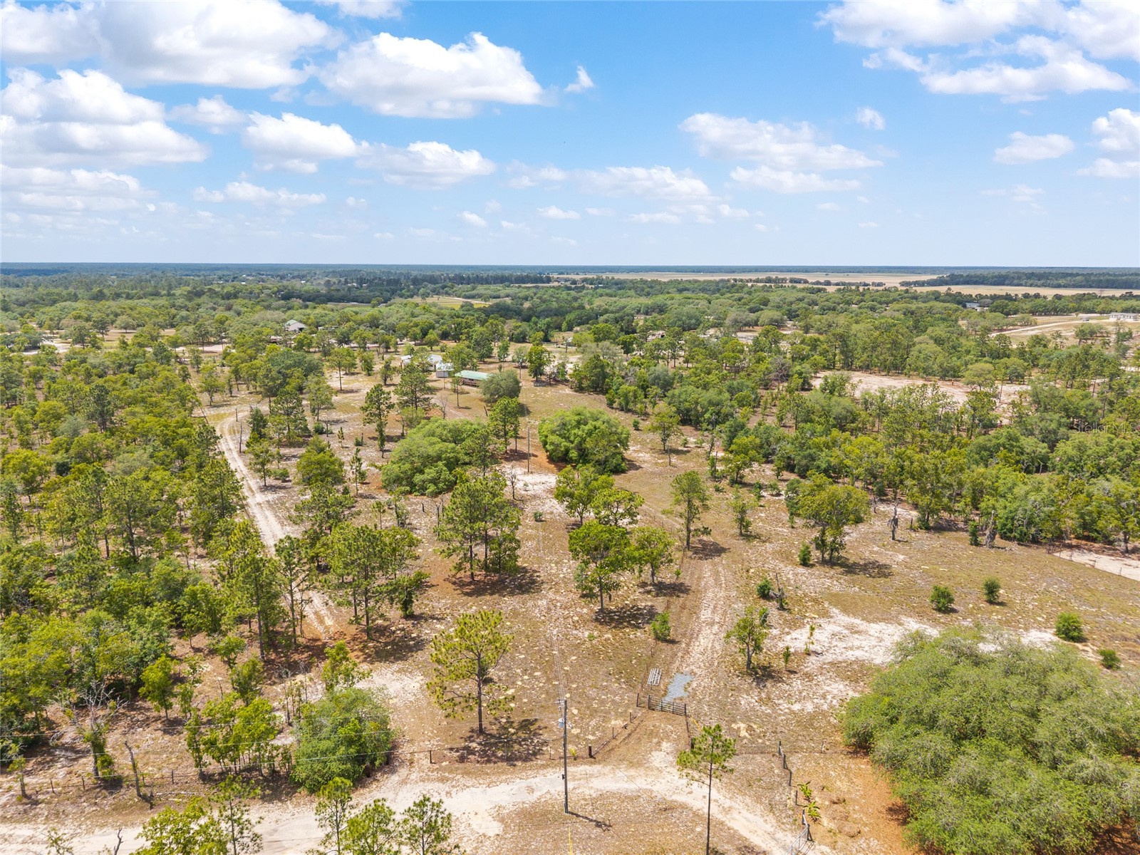 9950 SE 136th Terrace Dunnellon FL 34431 OM724975 image15