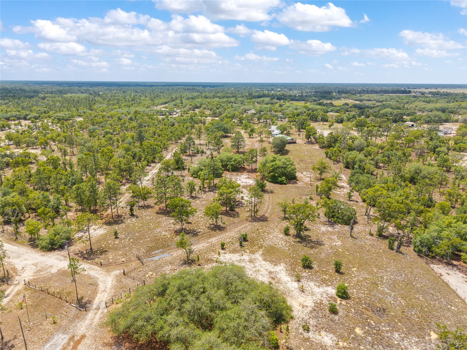 9950 SE 136th Terrace Dunnellon FL 34431 OM724975 image16