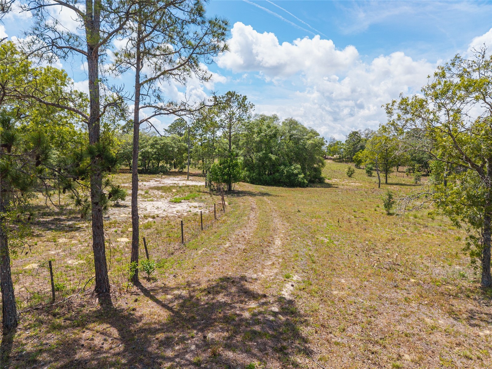 9950 SE 136th Terrace Dunnellon FL 34431 OM724975 image17
