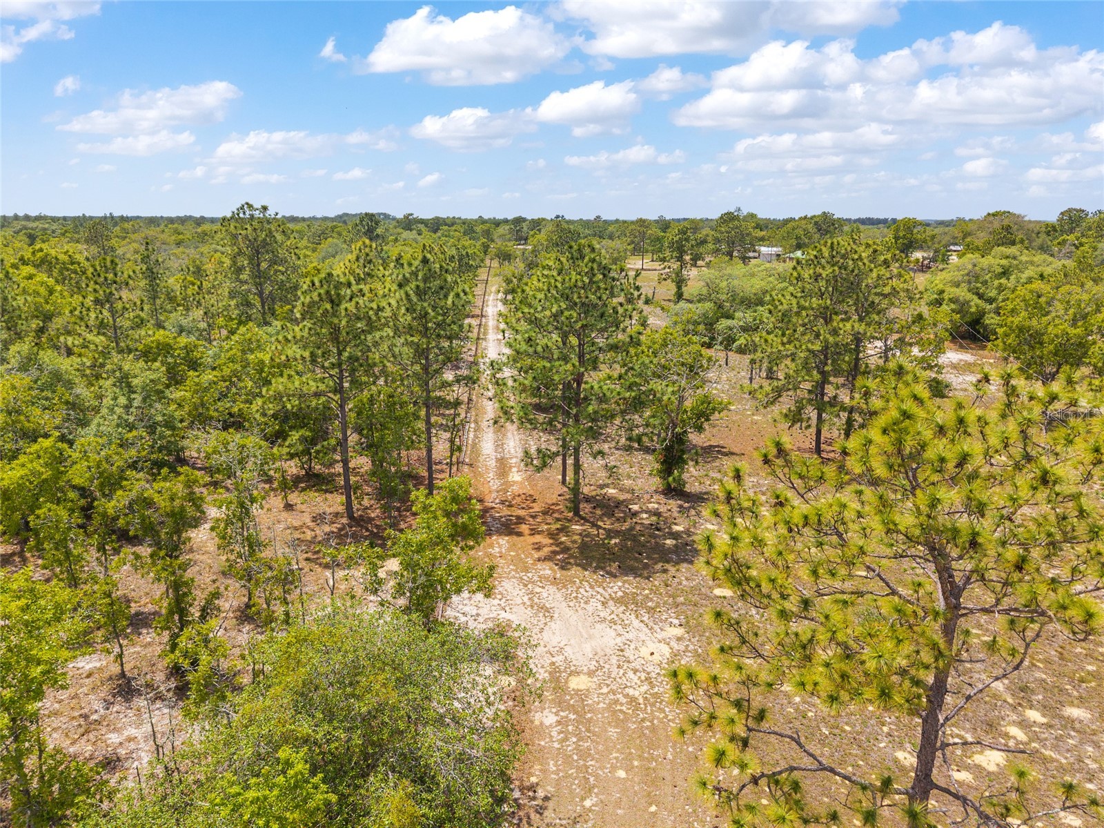 9950 SE 136th Terrace Dunnellon FL 34431 OM724975 image21