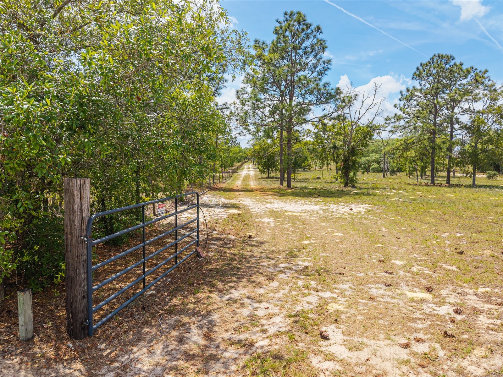 9950 SE 136th Terrace Dunnellon FL 34431 OM724975 image22