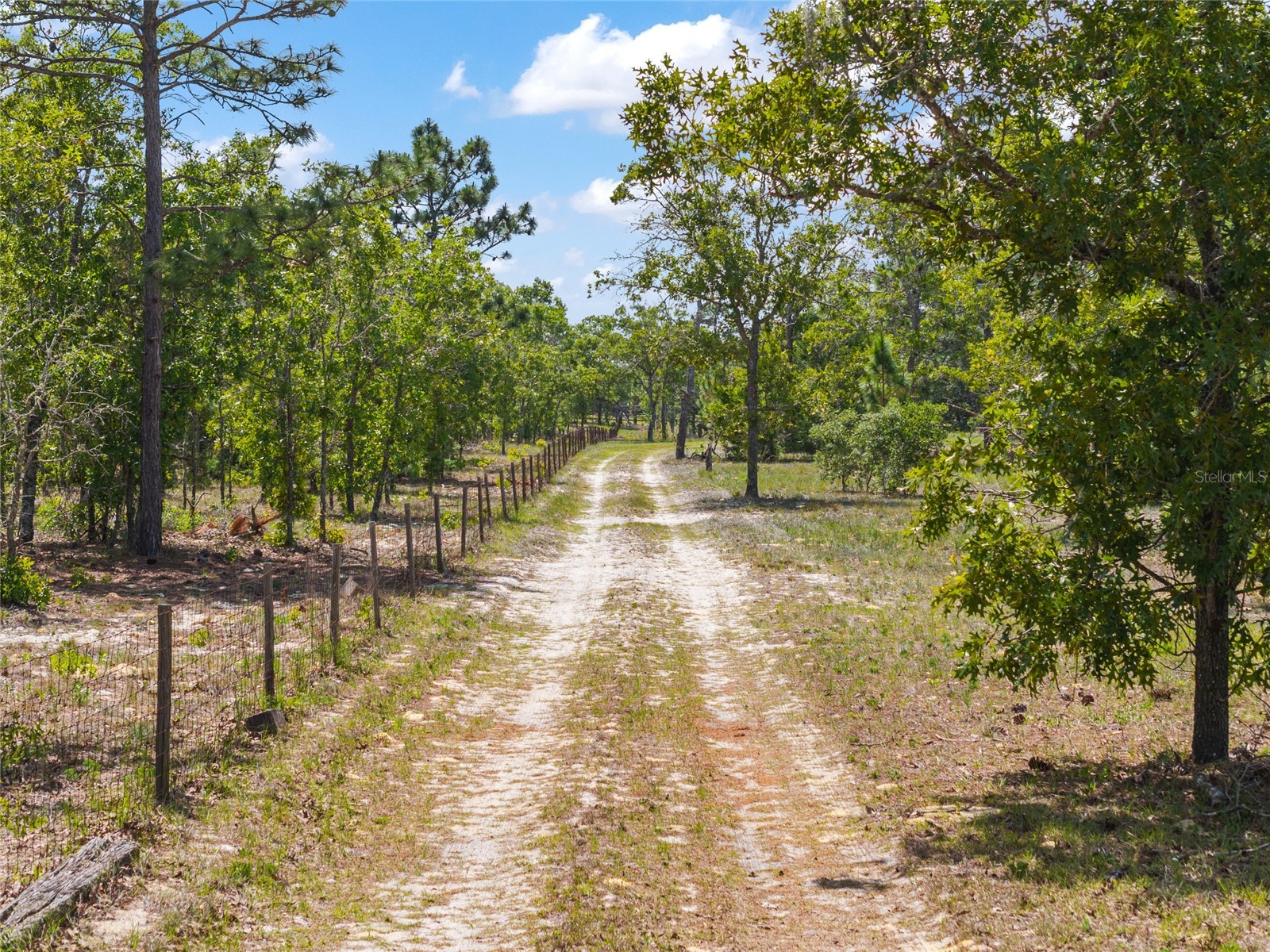9950 SE 136th Terrace Dunnellon FL 34431 OM724975 image23