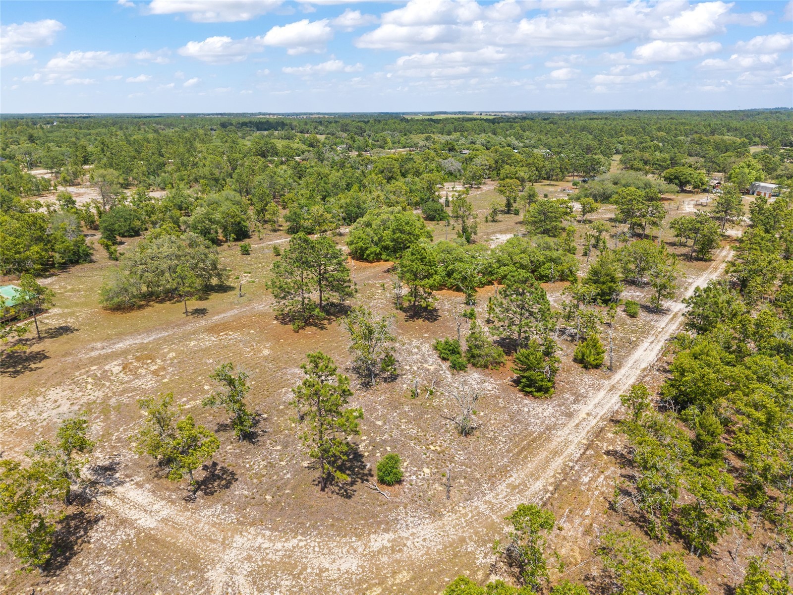 9950 SE 136th Terrace Dunnellon FL 34431 OM724975 image24