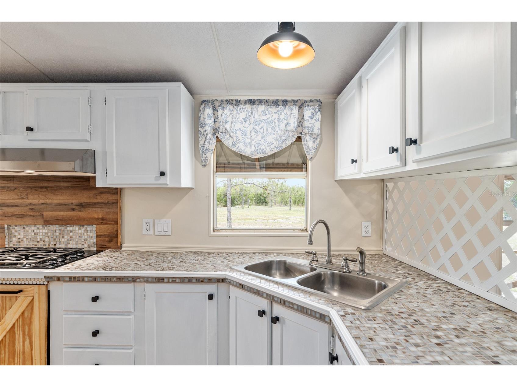 9950 SE 136th Terrace Dunnellon FL 34431 OM724975 image51