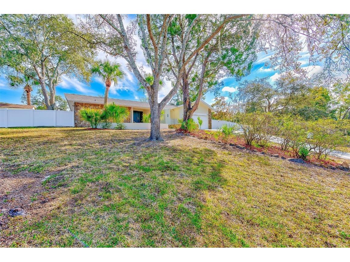 9954 Sweet Bay Court New Port Richey FL 34654 TB8451570 image1