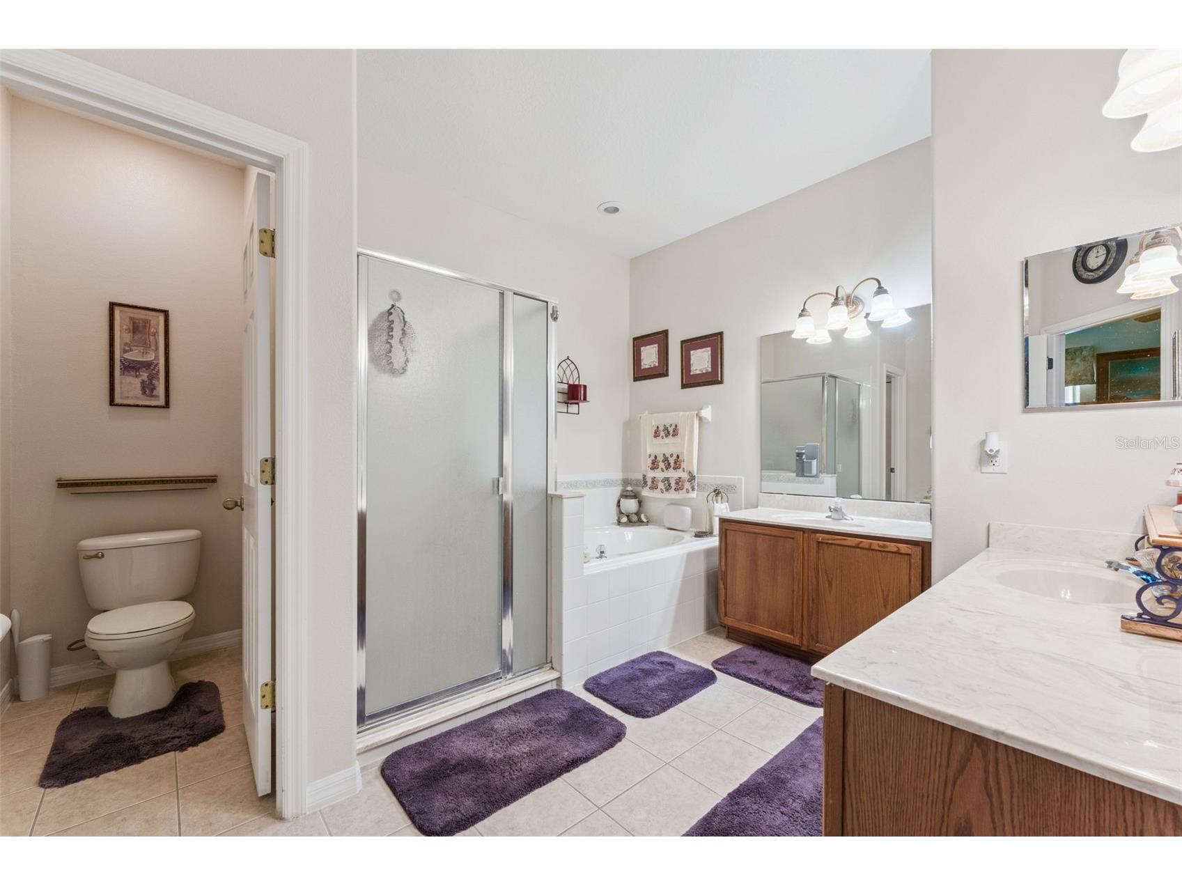 9955 Medallion Bluff Lane Orlando FL 32829 O6421360 image22