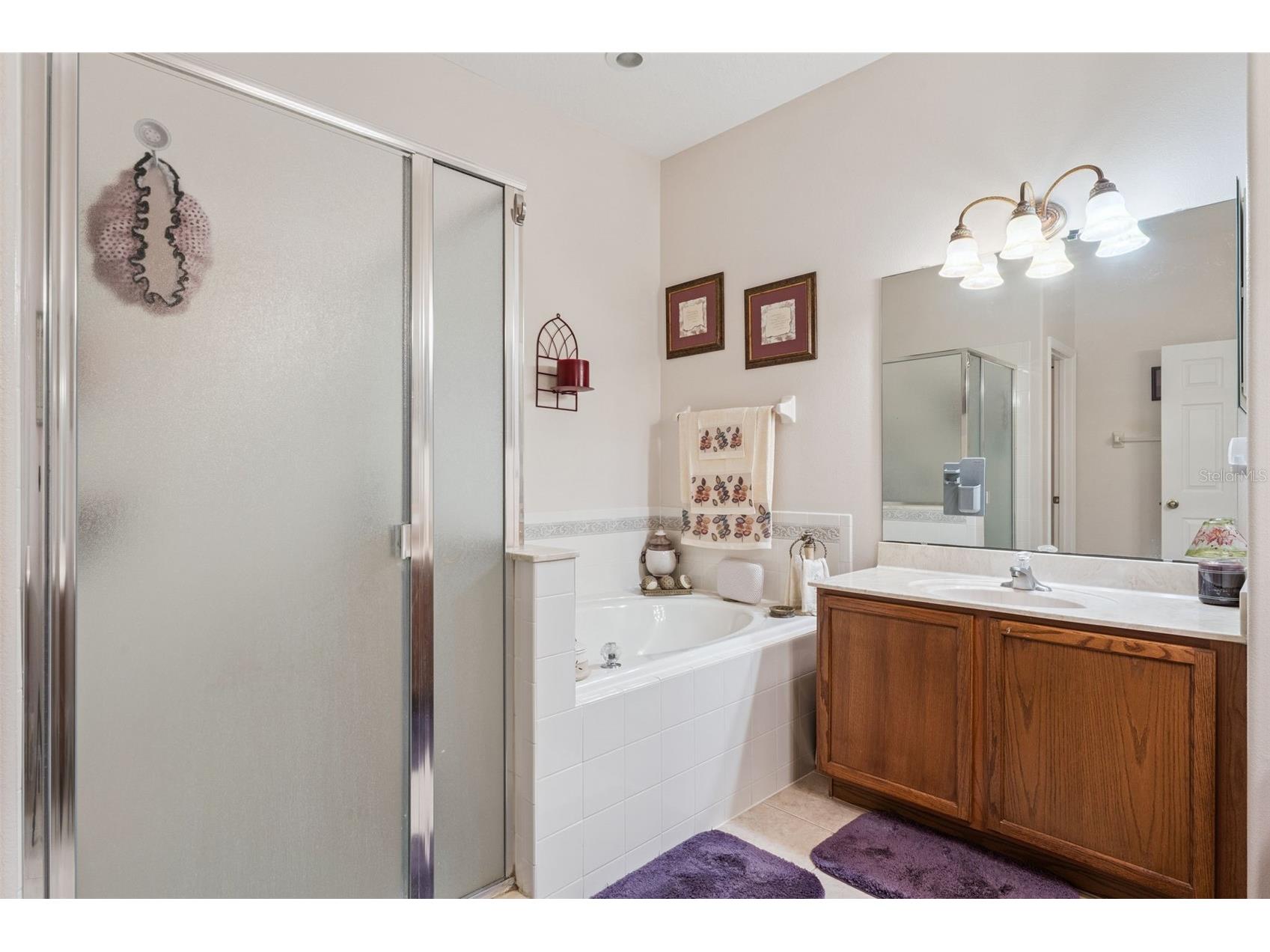 9955 Medallion Bluff Lane Orlando FL 32829 O6421360 image25