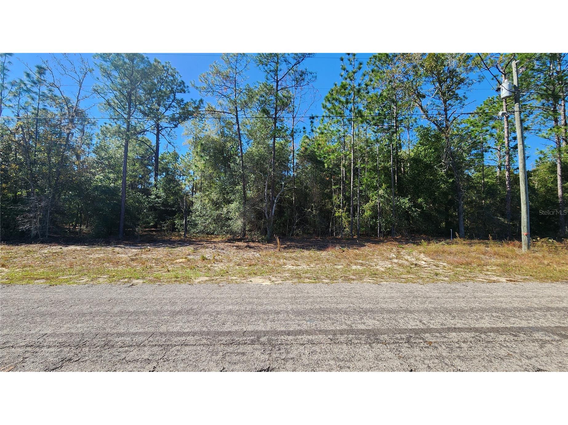 9955 N Sherman Drive Citrus Springs FL 34434 OM713323 image1