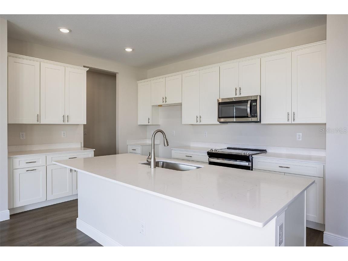 9955 Surrey Rose Drive San Antonio FL 33576 TB8386043 image2