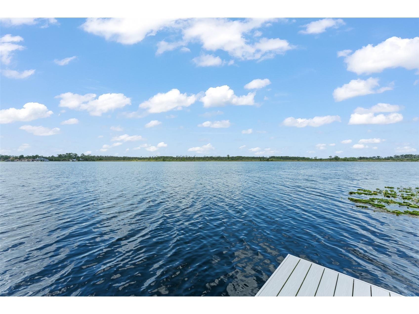 9958 Kilgore Road Orlando FL 32836 - Pocket Lake O6410868 image90