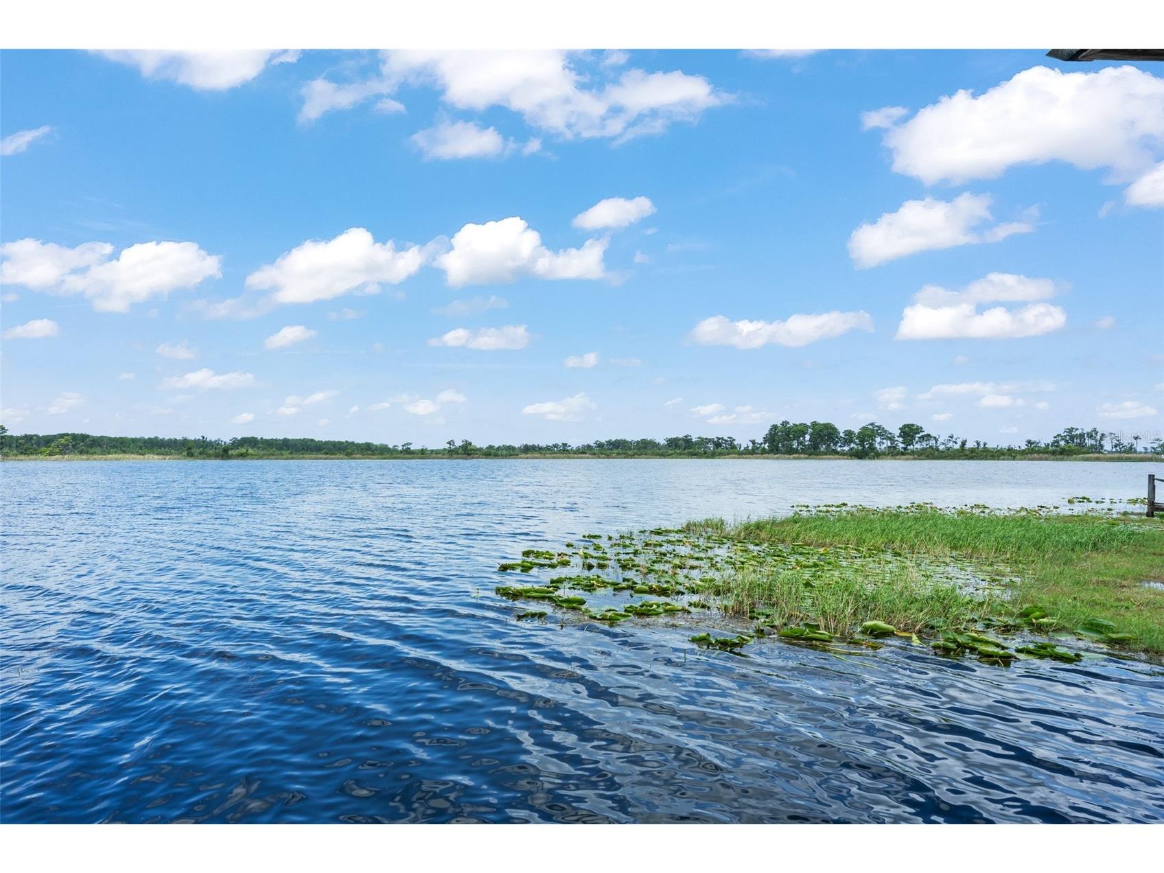 9958 Kilgore Road Orlando FL 32836 - Pocket Lake O6410868 image91