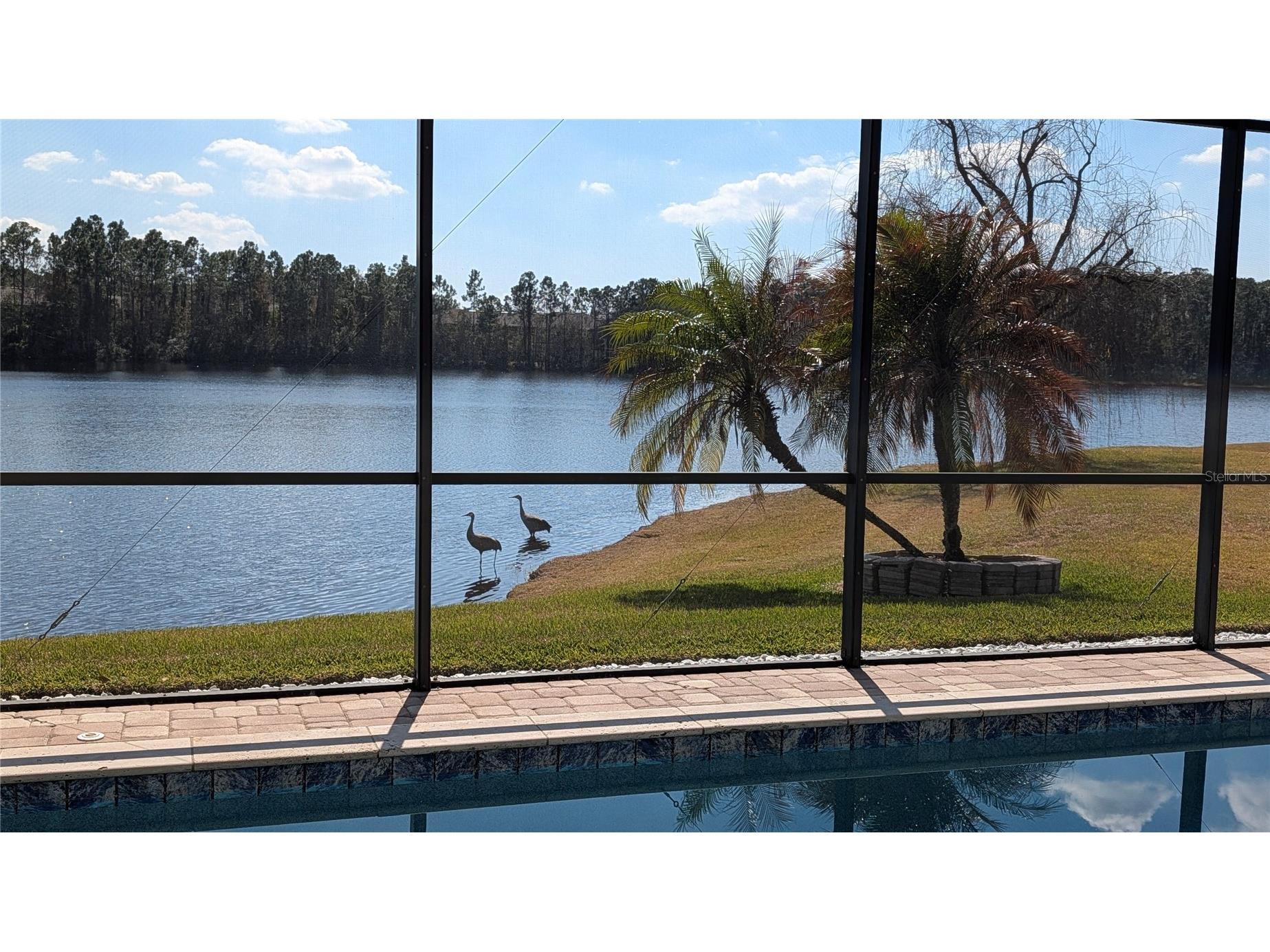 9958 Oak Quarry Drive Orlando FL 32832 - LAKE LA VINA O6395723 image50