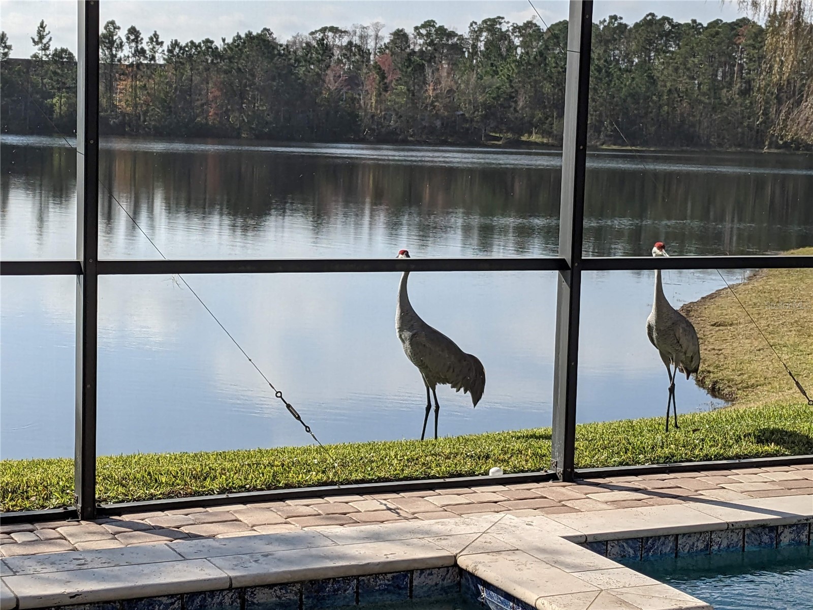 9958 Oak Quarry Drive Orlando FL 32832 - LAKE LA VINA O6395723 image51
