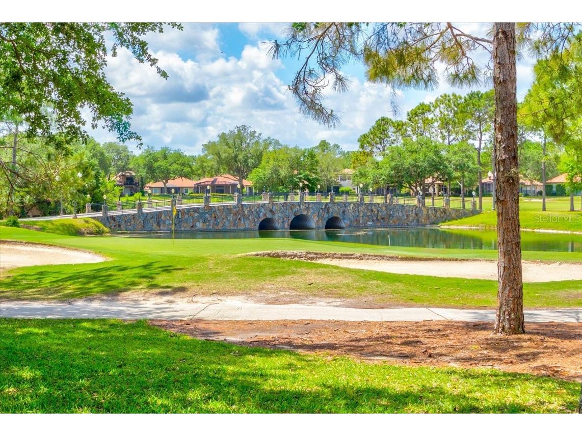 9958 Santa Barbara Court Howey In The Hills FL 34737 G5092700 image39