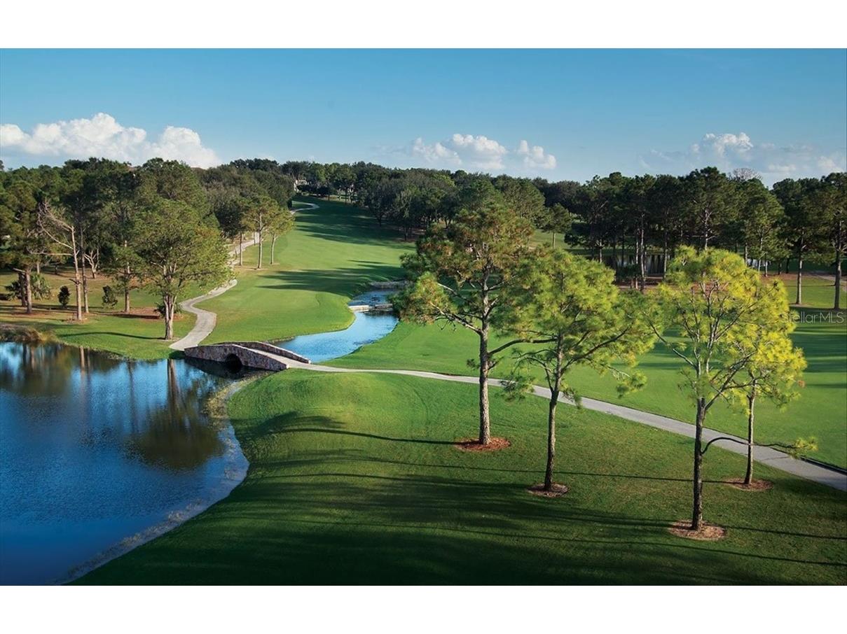 9958 Santa Barbara Court Howey In The Hills FL 34737 G5092700 image42