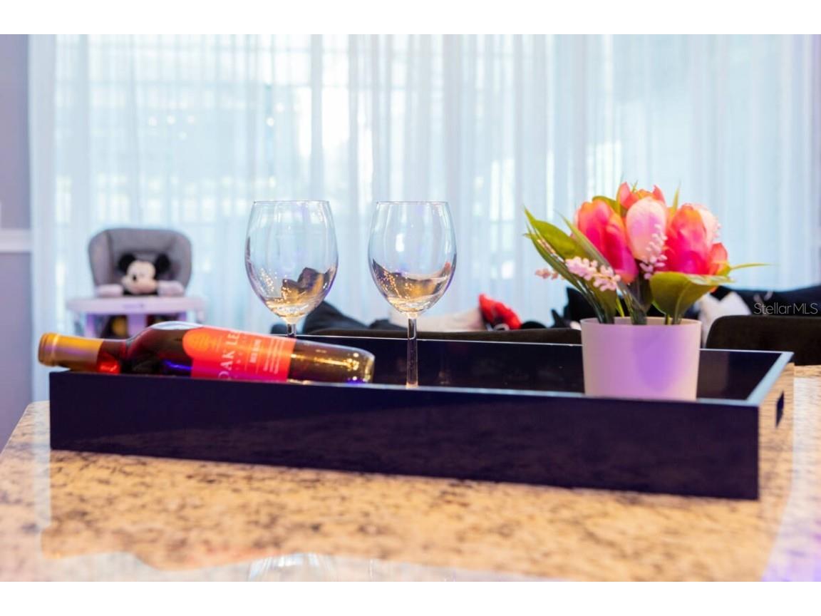 996 Paradise Drive Davenport FL 33897 O6354496 image24