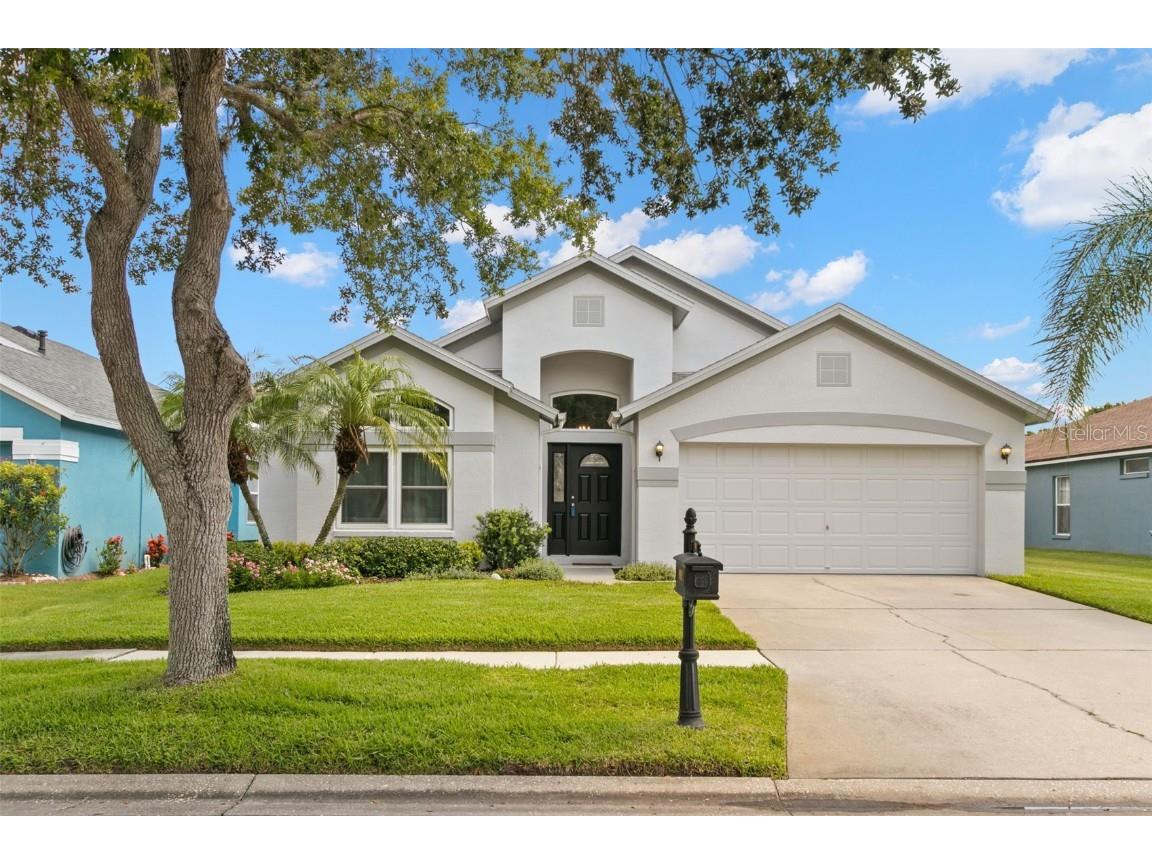 9962 Stockbridge Drive Tampa FL 33626 U8249791 image1