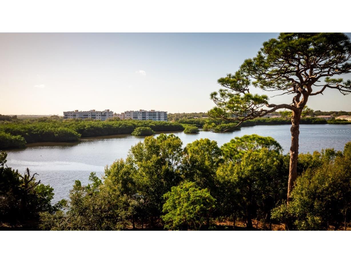 9964 Key Haven Road Seminole FL 33777 A4615774 image42