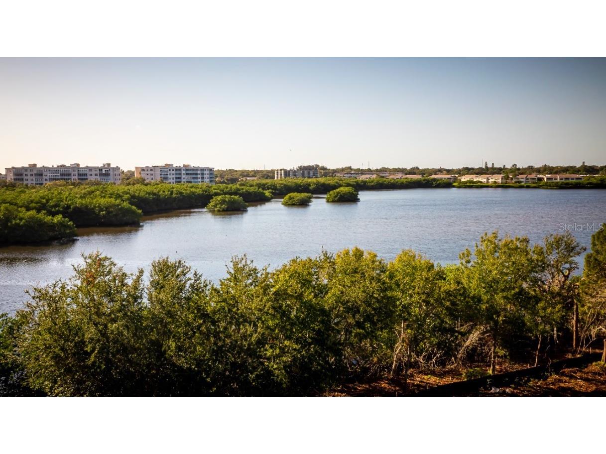 9964 Key Haven Road Seminole FL 33777 A4615774 image43