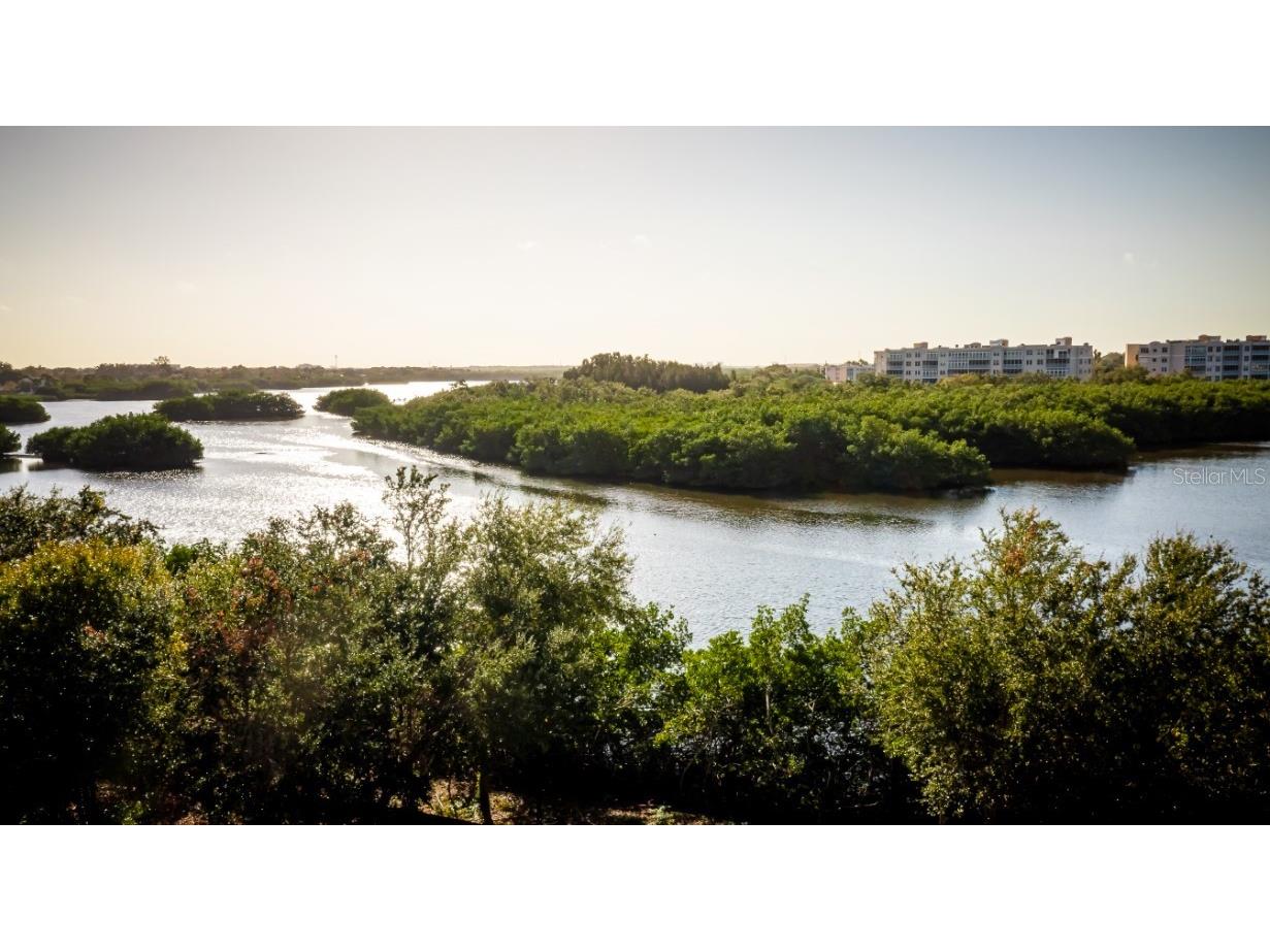 9964 Key Haven Road Seminole FL 33777 A4615774 image44