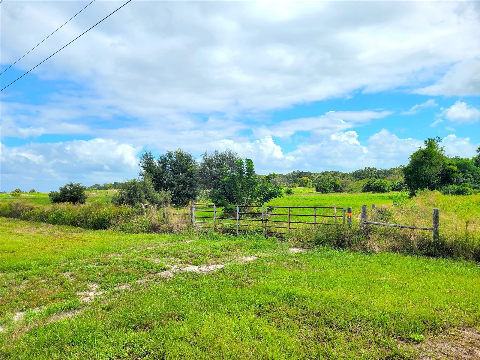 9965 S Us Highway 37 Mulberry FL 33860 B4901547 image1