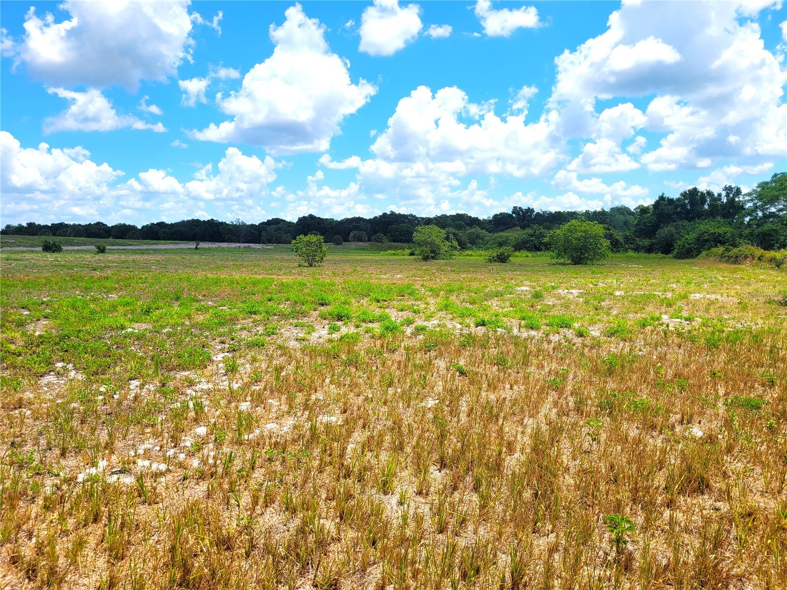 9965 S Us Highway 37 Mulberry FL 33860 B4901547 image5