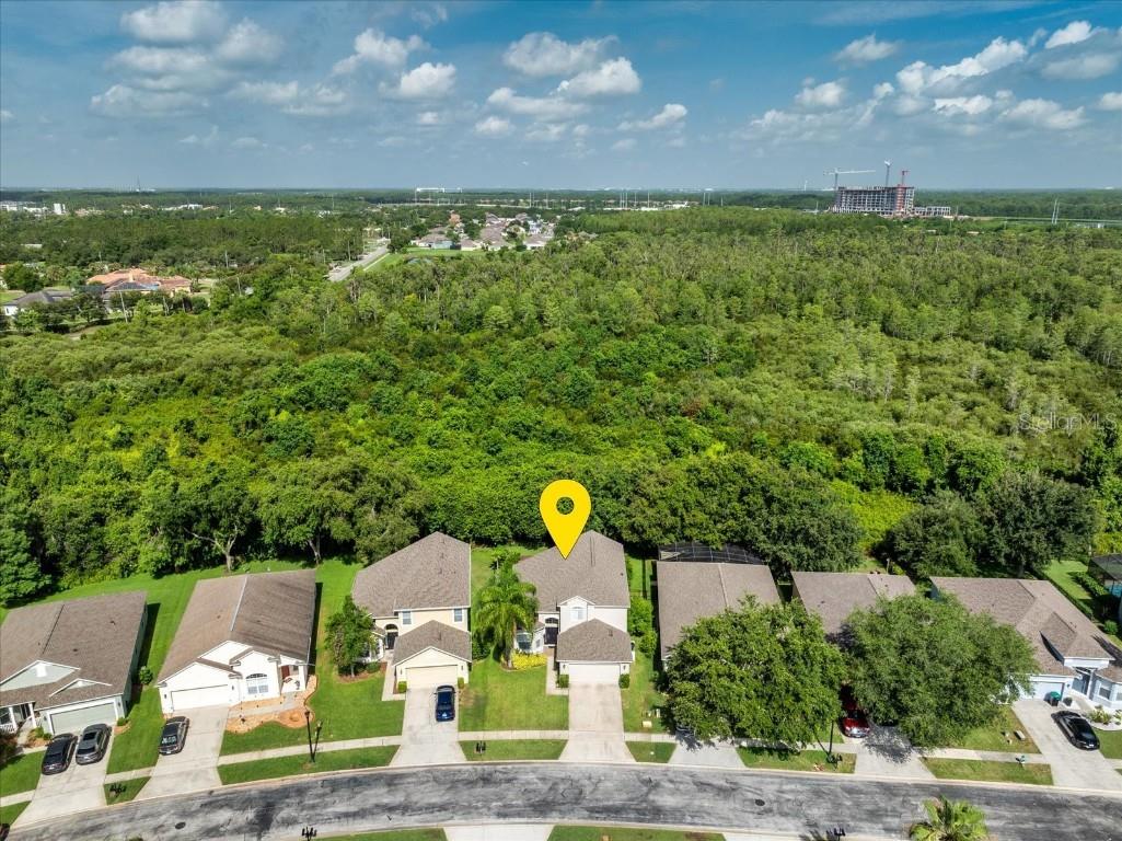 9966 Hidden Dunes Lane Orlando FL 32832 O6317411 image4