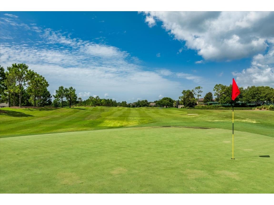 9966 Hidden Dunes Lane Orlando FL 32832 O6317411 image43