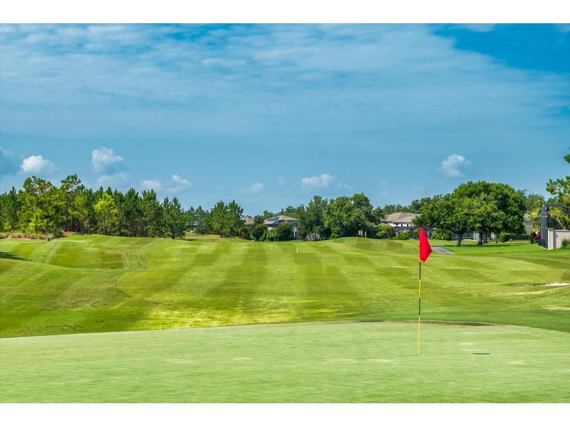 9966 Hidden Dunes Lane Orlando FL 32832 O6317411 image44